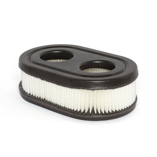 Briggs & Stratton Air Filter (593260)