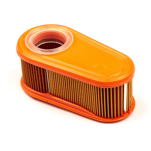Briggs & Stratton Air Filter (795066)