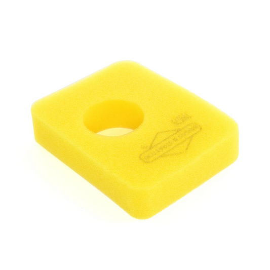 Briggs & Stratton Air Filter (799579)