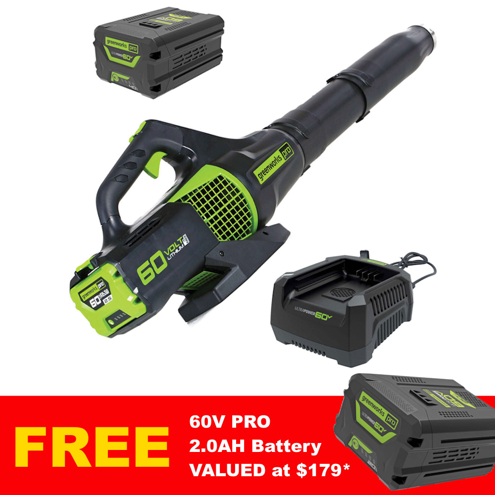Greenworks pro blower discount
