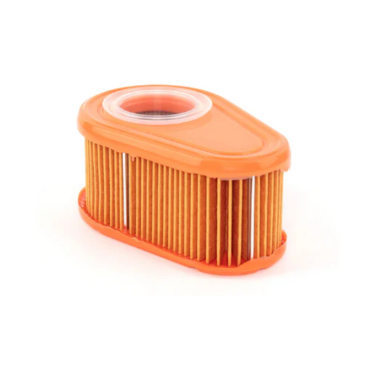 Briggs & Stratton Air Filter (792038)