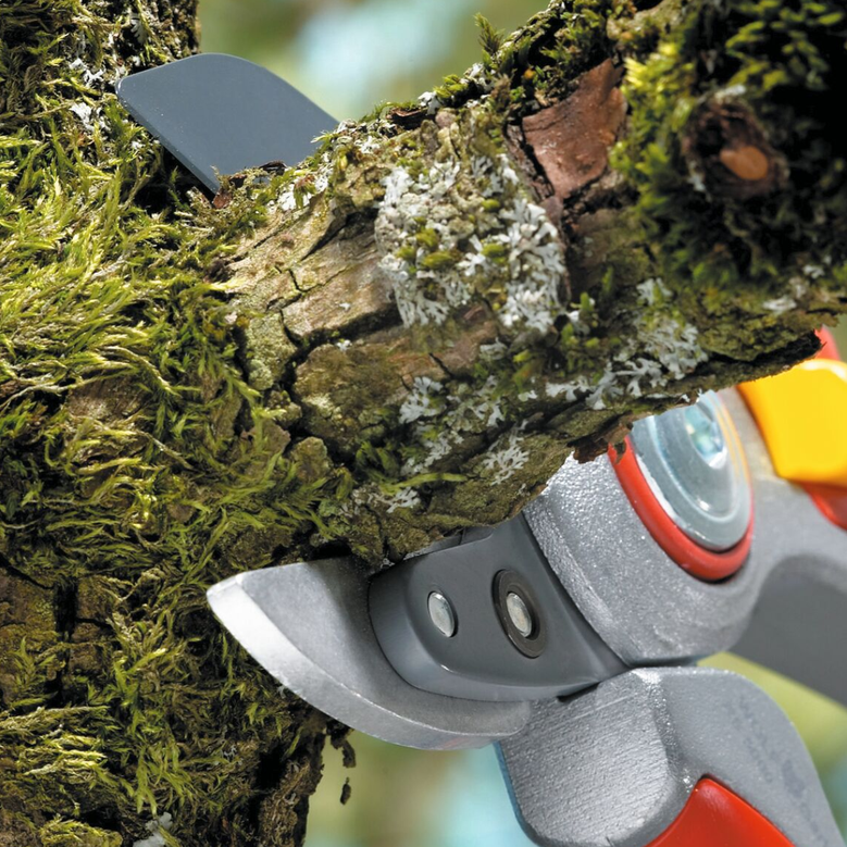 Wolf Garten RS5000 Professional Anvil Secateurs
