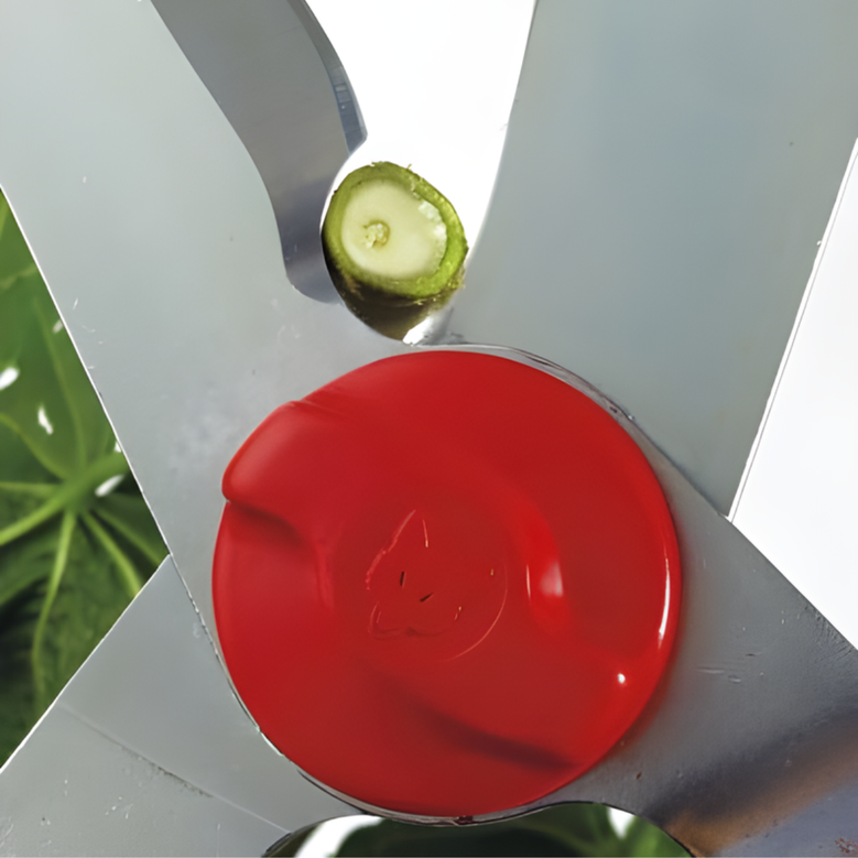 Wolf Garten HS-W Hedge Shears