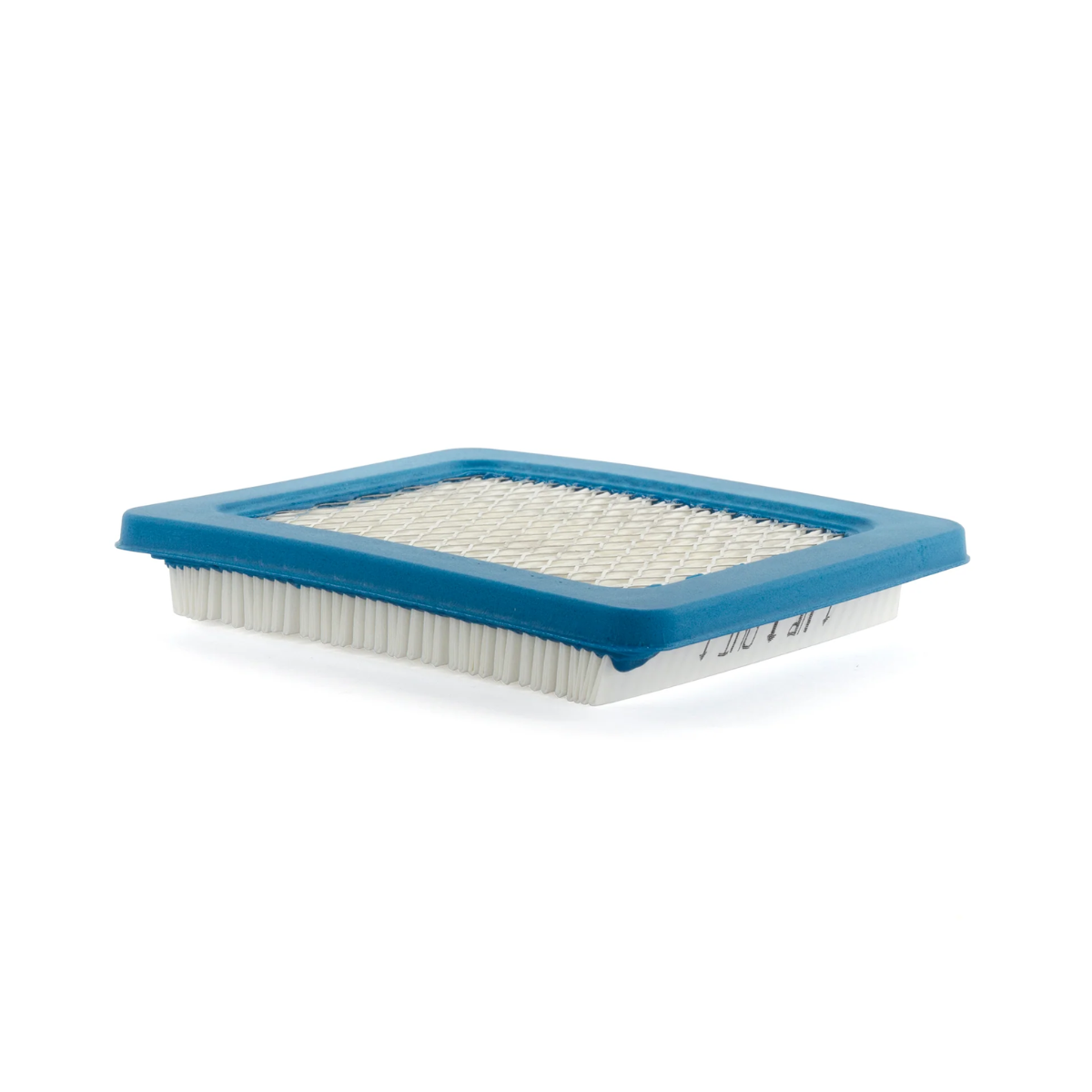 Briggs & Stratton Air Filter (491588S)