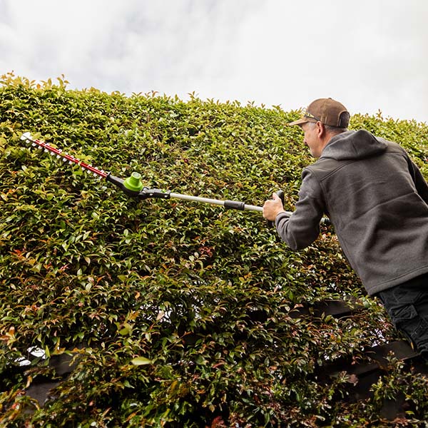Greenworks GD60PHT51 60V Pole Hedge Trimmer (Skin Only)