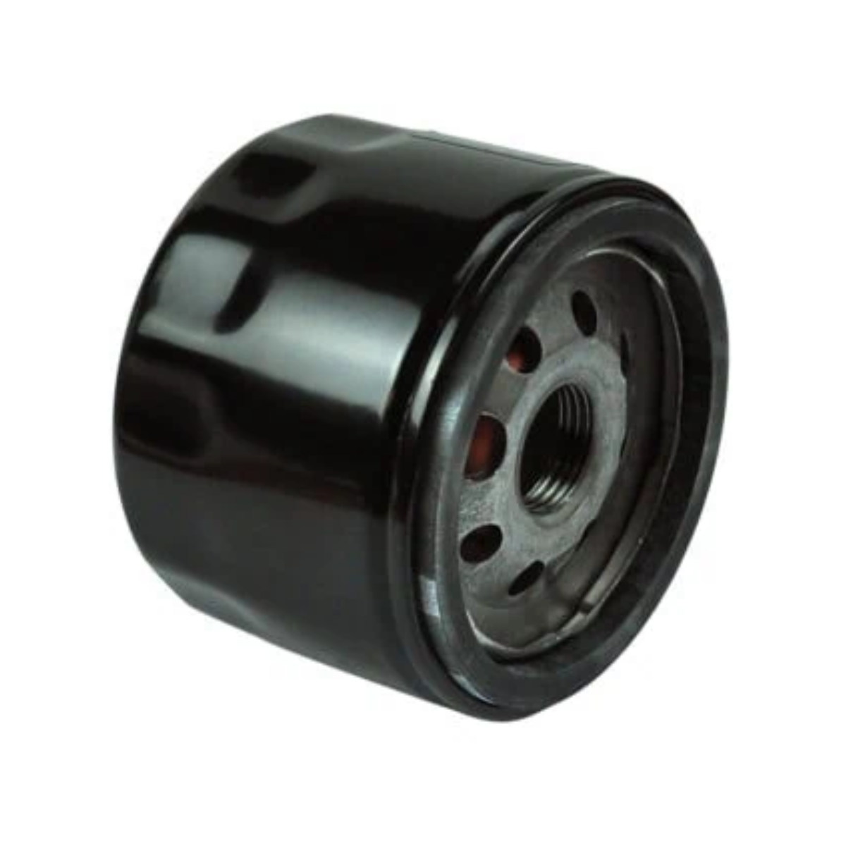 Kawasaki Oil Filter (KAW49065-0736)